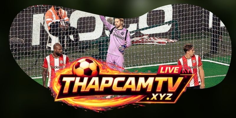 Phân tích phong độ Brentford vs Liverpool qua độ chắc của khối giữa
