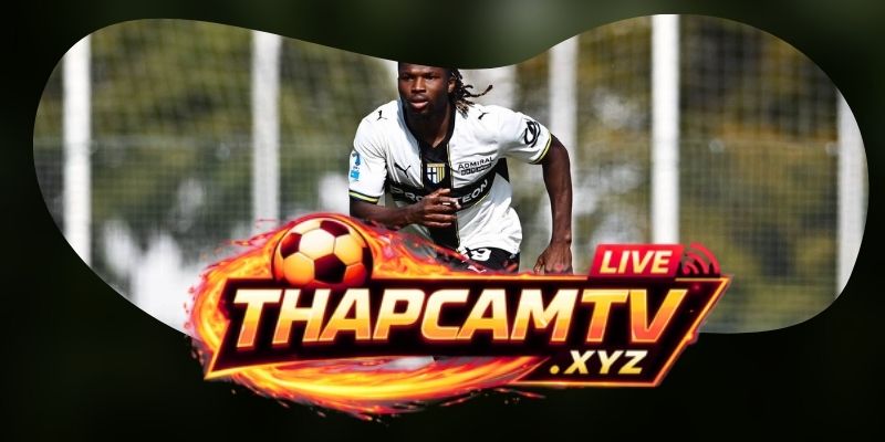 Phân tích phong độ Parma vs Torino qua nhịp pressing và độ chắc sau mất bóng